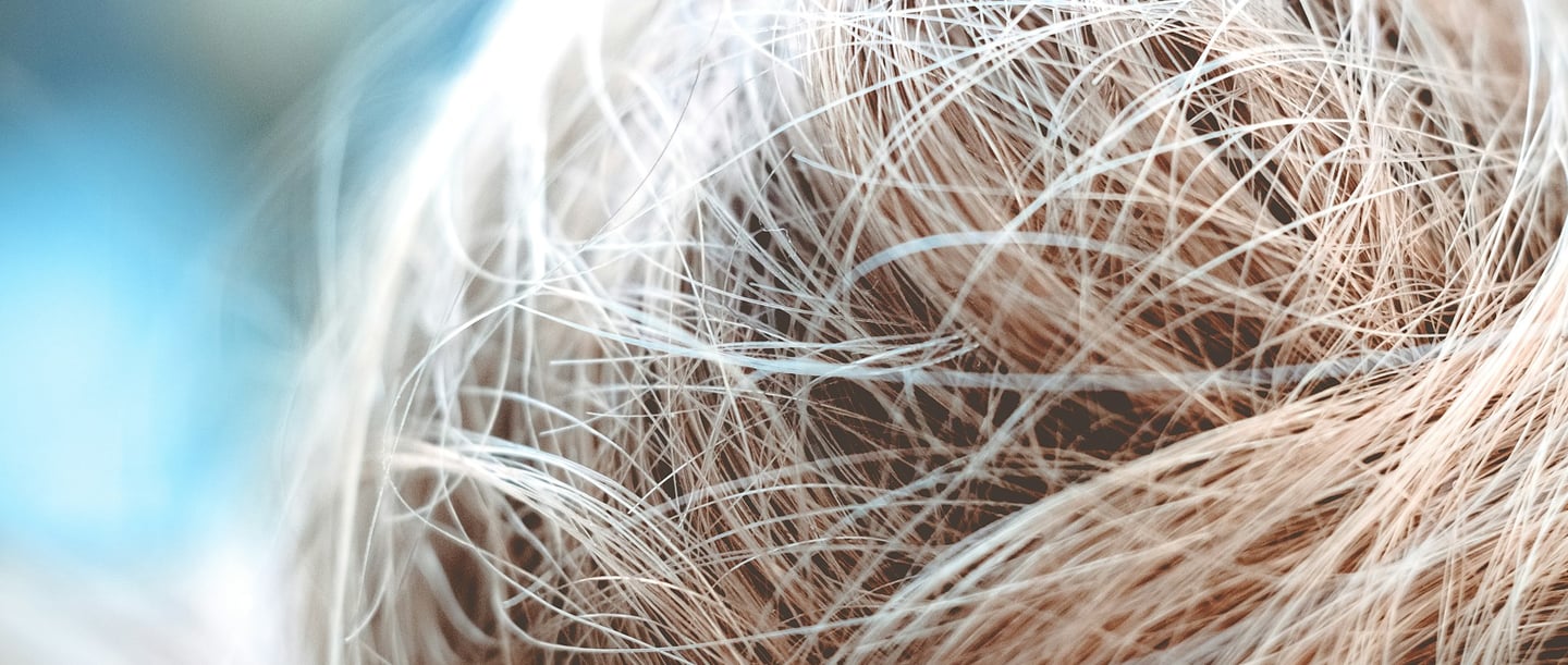 Close-up of fine, wet hair spread messily over the head.