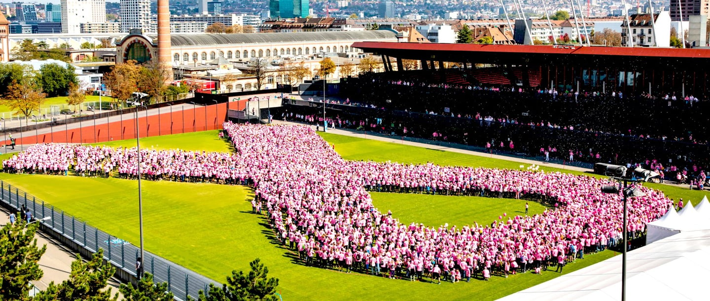 Crowd in a meadow. It looks like a pink ribbon in large.