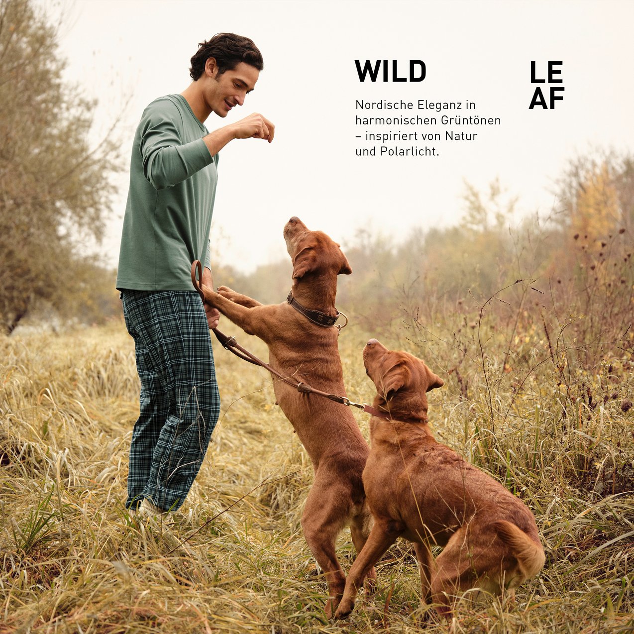 Der Herr trägt die neue blau-grün-karierte Nachtwäsche der Serie Relax Streamline.