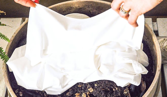 A T-shirt is placed in a pot of soil.