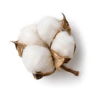 Cotton-Pima