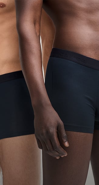 Nell'immagine si vedono due boxer neri.