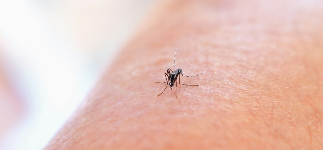 Close‑up of a mosquito on human skin – symbolic depiction of the issue of mosquitoes in the bedroom