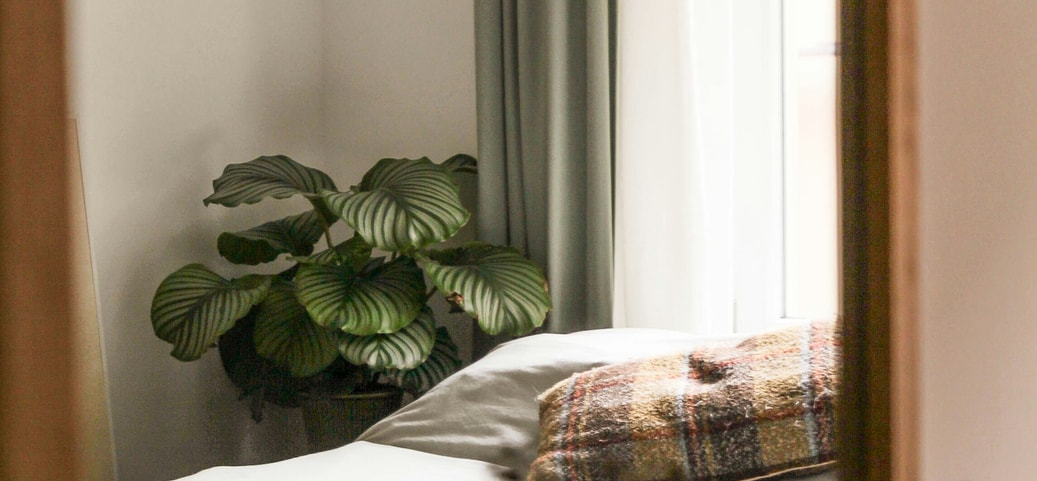 Ein Bett mit einer grünen Decke. Weisse Wandfarbe. Grüne Vorhänge.