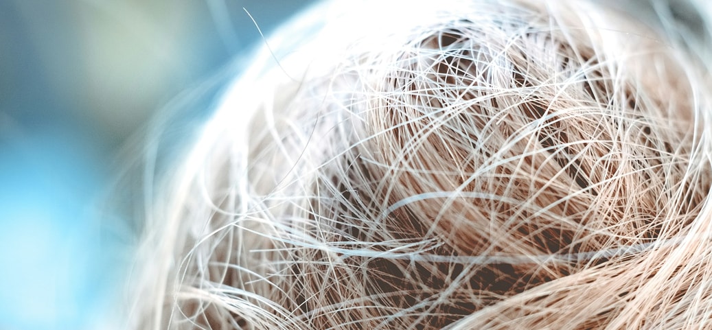 Détail de cheveux fins et mouillés répartis de manière désordonnée sur la tête.