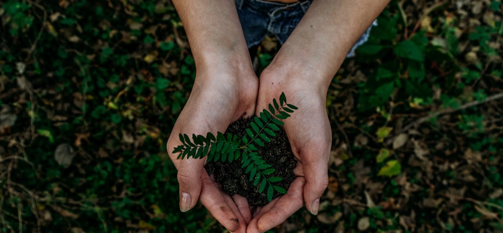 Erde mit einer kleinen Pflanze in der Hand