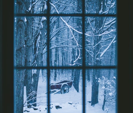 Verschneiter Wald mit altem roten Wagen, durch ein Fenster betrachtet – ruhige Winterstimmung als Symbol für den Winterblues