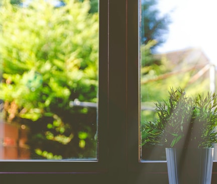 Bright daylight streaming through a window onto a houseplant – symbolising how natural light influences our sleep rhythm