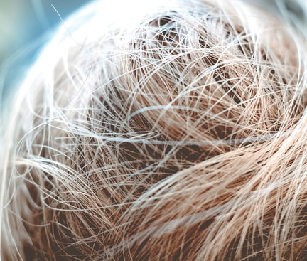 Detailaufnahme von feinem, nassen Haar, das unordentlich auf dem Kopf verteilt ist.