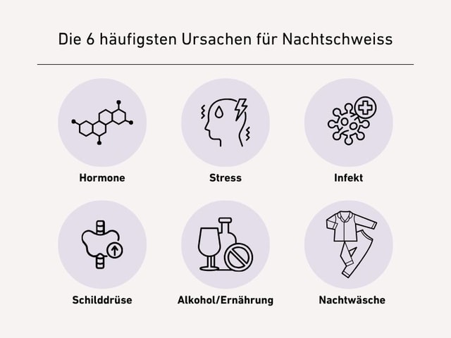 Grafik zeigt die sechs häufigsten Ursachen für Nachtschweiss anhand von Icons und kurzen Labels
