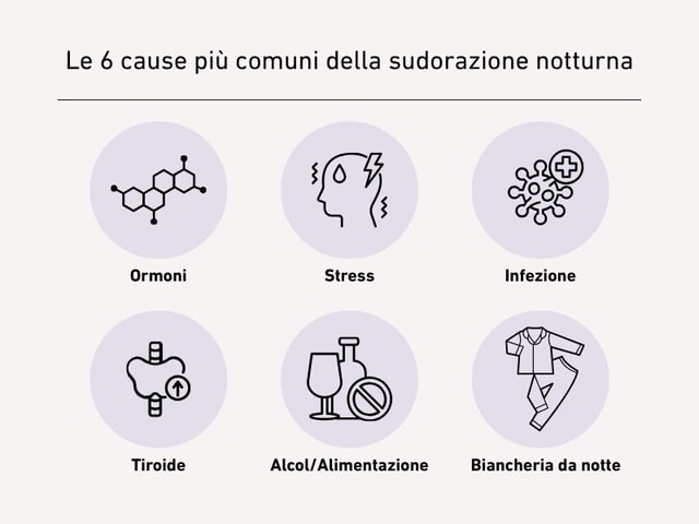 Infografica che mostra le sei cause più comuni della sudorazione notturna tramite icone semplici