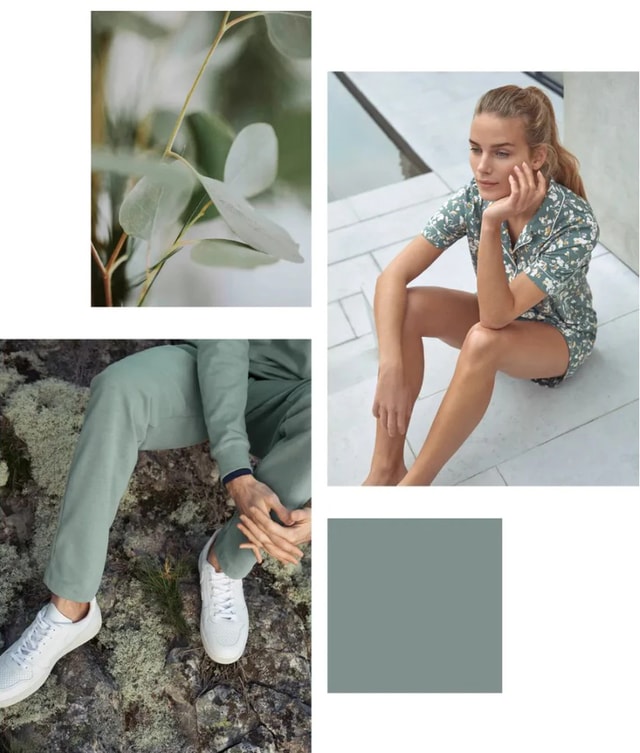 4 Bilder mit der Farbe Eukalyptus Grün